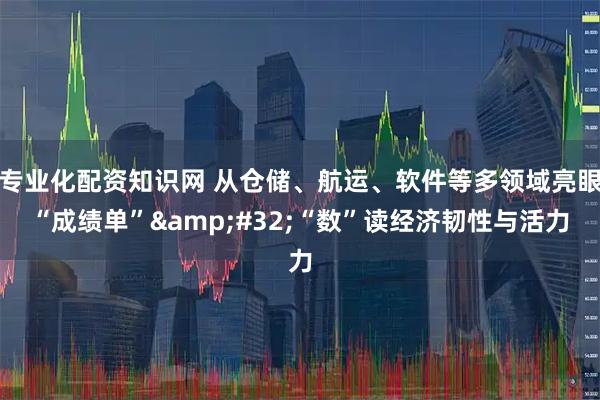 专业化配资知识网 从仓储、航运、软件等多领域亮眼“成绩单” “数”读经济韧性与活力